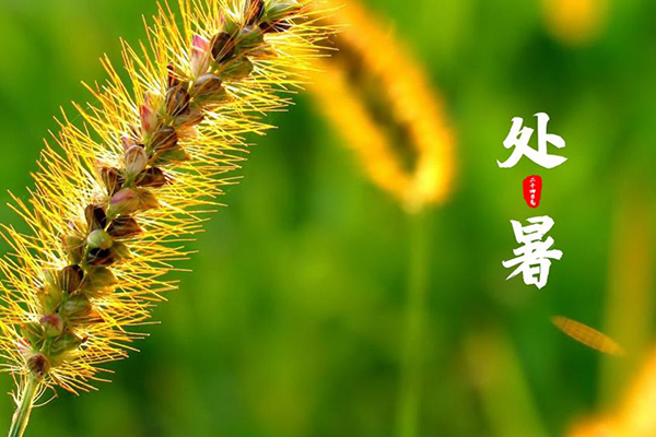 mg����ͻ���ݻ���(����)�ٷ���վ